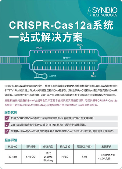 CRISPR-Cas12a 系統(tǒng)一站式解決方案